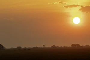 Sunrise over the misty plains of Kafue National Park, Zambia