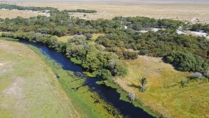Aerial view of Liuwa Plain National Park, its grassland broken by shallow water channels