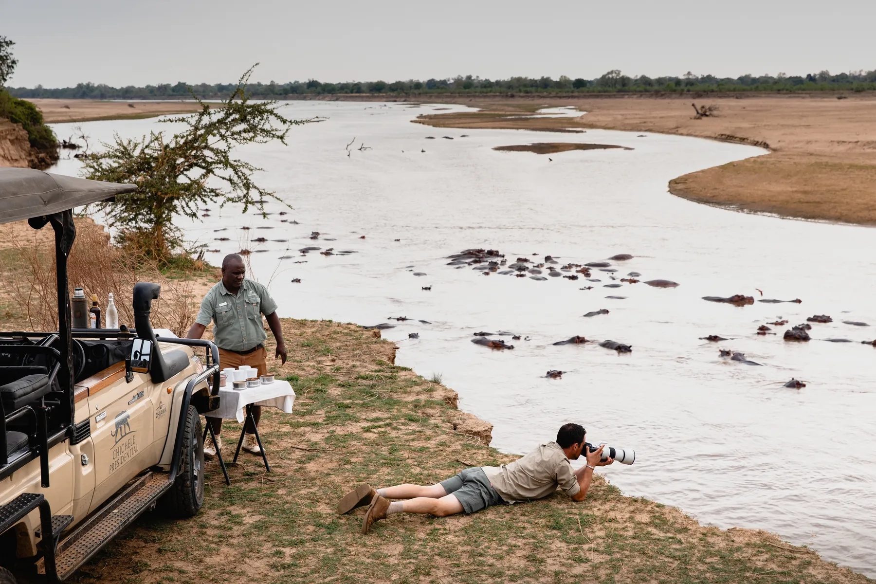 Hippos gathered in the Luangwa River, Zambia